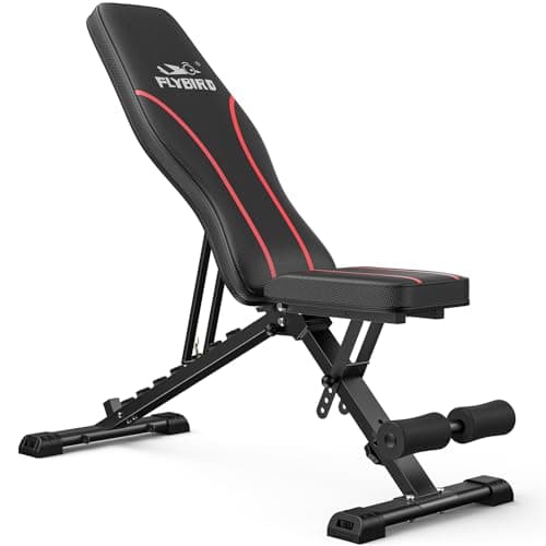 FLYBIRD WB2 Weight Bench, Utility Adjustable Weight Bench for Full Body Workout- Multi-Purpose Foldable Incline Bench (Black)