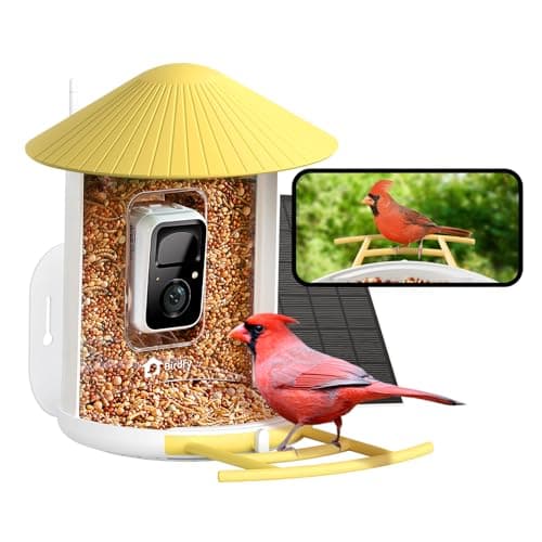 NETVUE by Birdfy Smart Bird Feeder with 2K AI Camera Solar Powered, 3MP Wireless Wildbird Watching, Live Stream & Night Vision, Auto-Capture & Notify, Collection & Cloud Storage (AI by Subsc